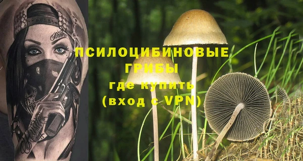 стаф Ладушкин