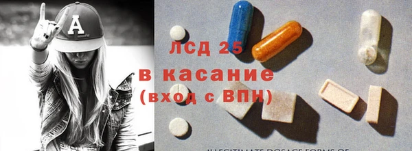 стаф Ладушкин