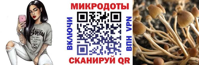 Галлюциногенные грибы MAGIC MUSHROOMS  Купить закладки  Воронеж 